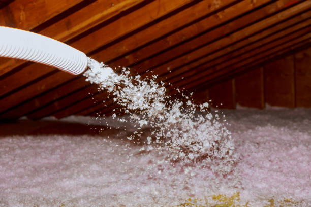 Best Commercial Insulation Services  in USA